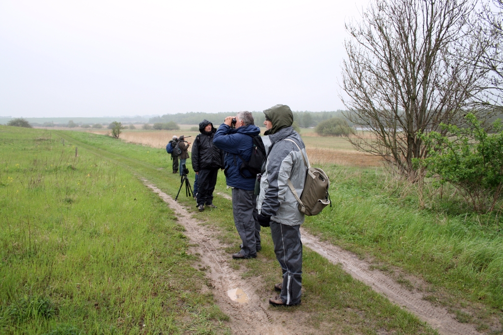 VWG vogelreis Oost Duitsland mei 2010 298